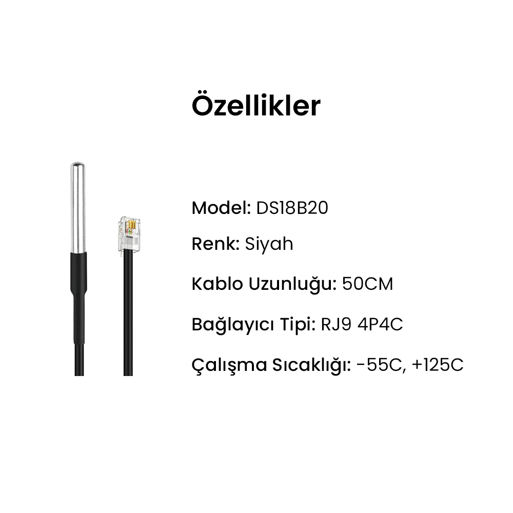 DS18B20
