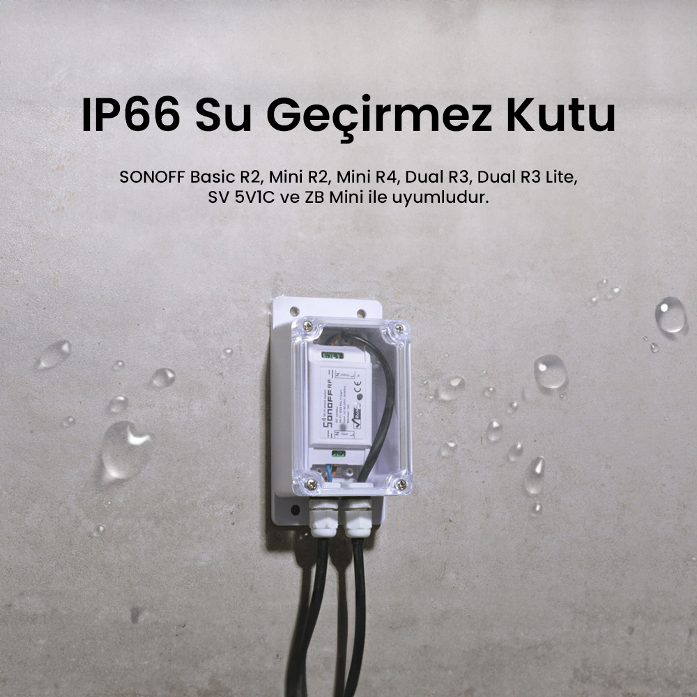 IP66